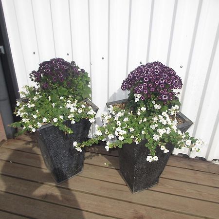 Artun Apartment Höfn Oda fotoğraf