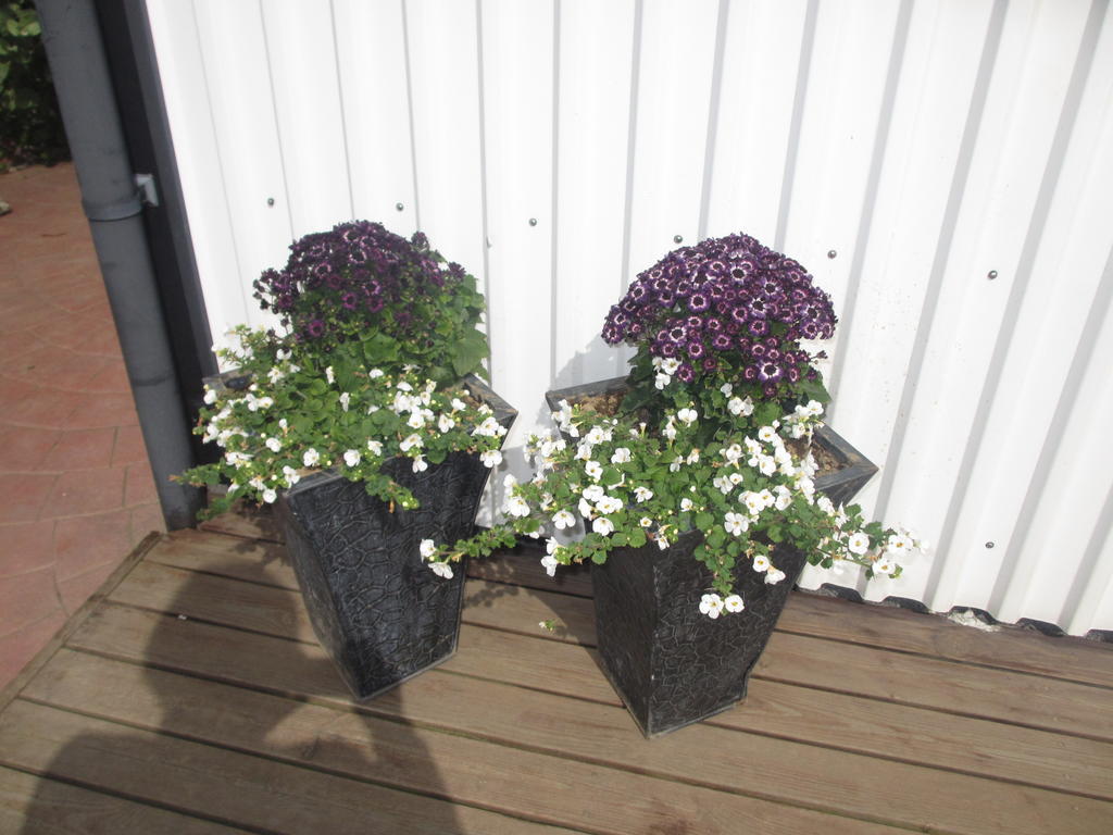 Artun Apartment Höfn Oda fotoğraf